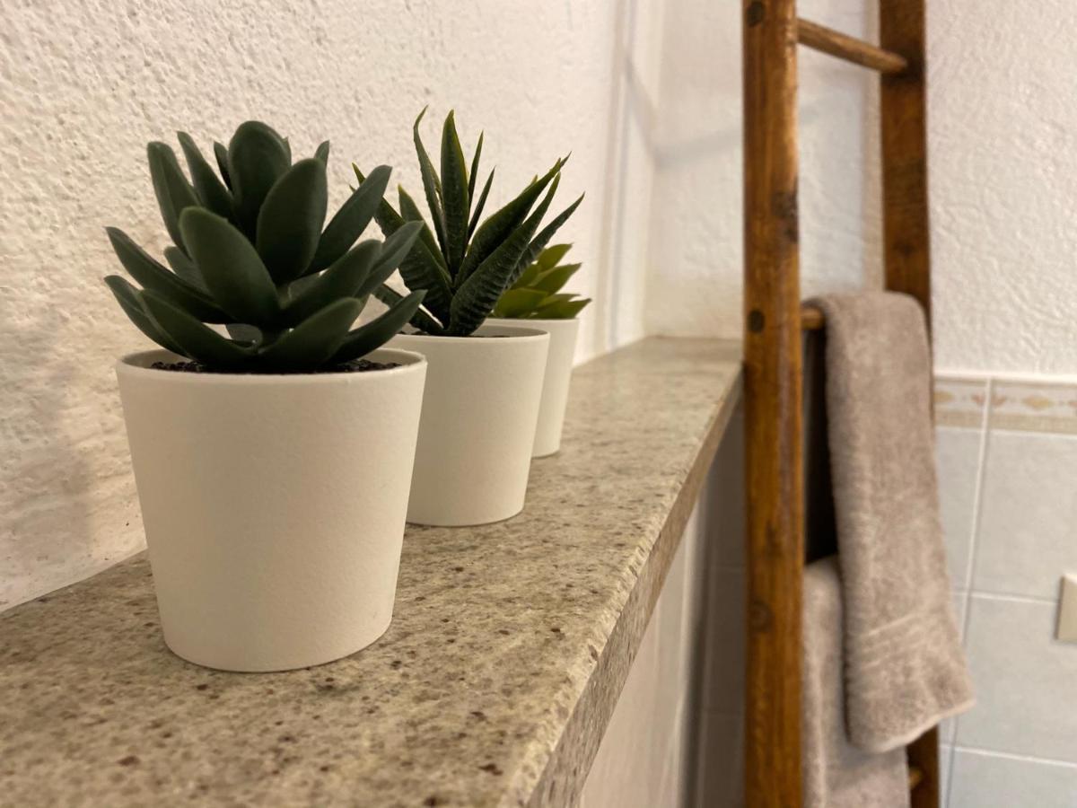 Grenier Du Coeur Apartment Аоста Екстериор снимка